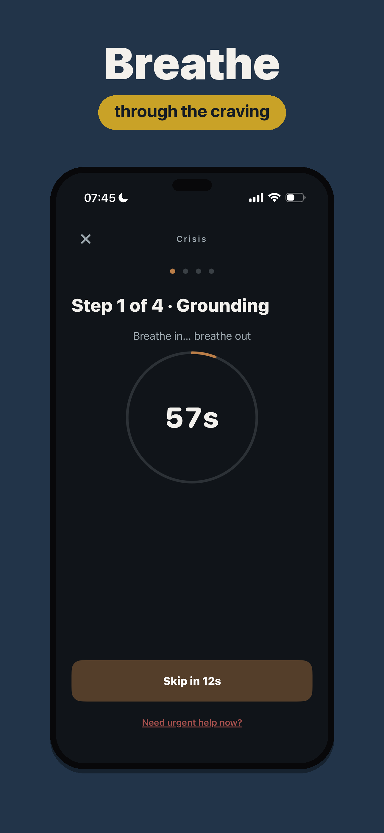 GraceAnchor screenshot 2